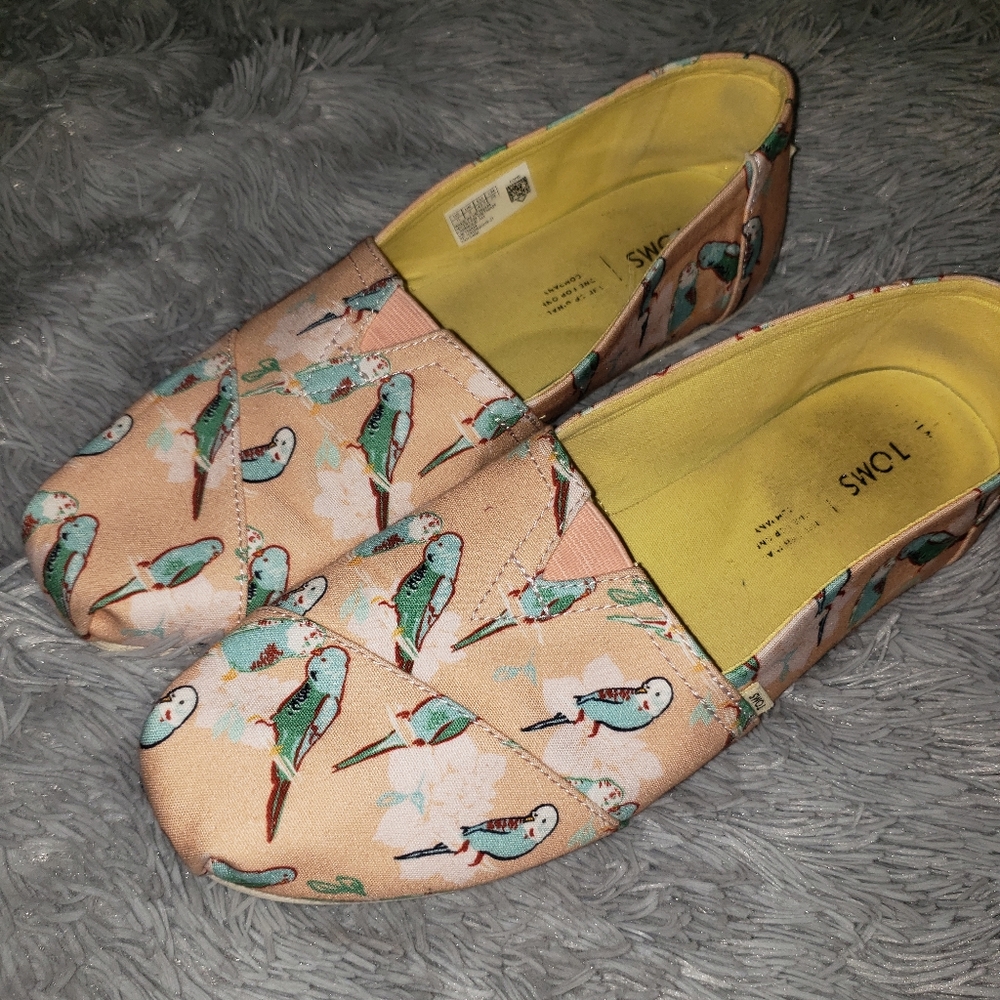 Toms kissing birds